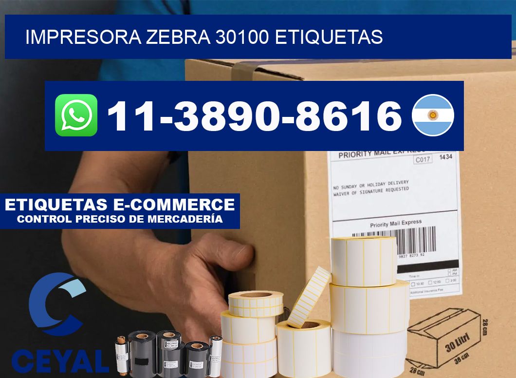 impresora zebra 30100 etiquetas