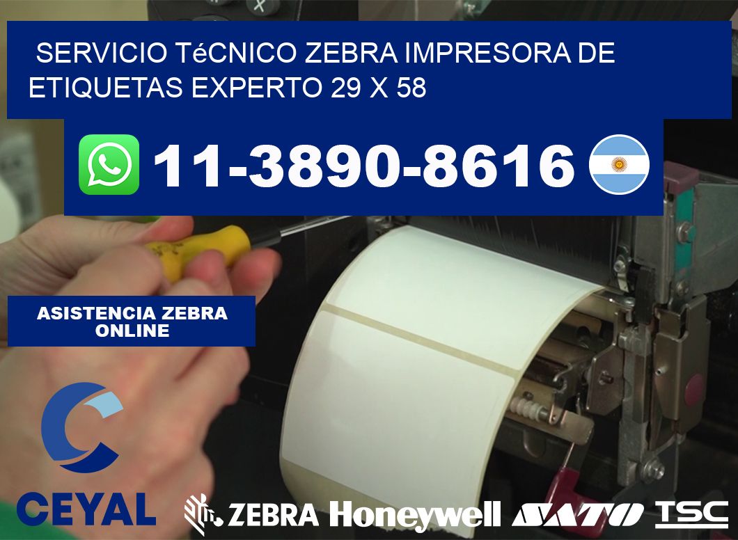Servicio Técnico Zebra Impresora de Etiquetas Experto 29 x 58