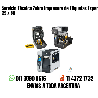 Servicio Técnico Zebra Impresora de Etiquetas Experto 29 x 58