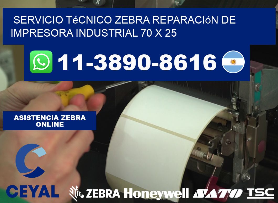 Servicio Técnico Zebra Reparación de Impresora Industrial 70 x 25
