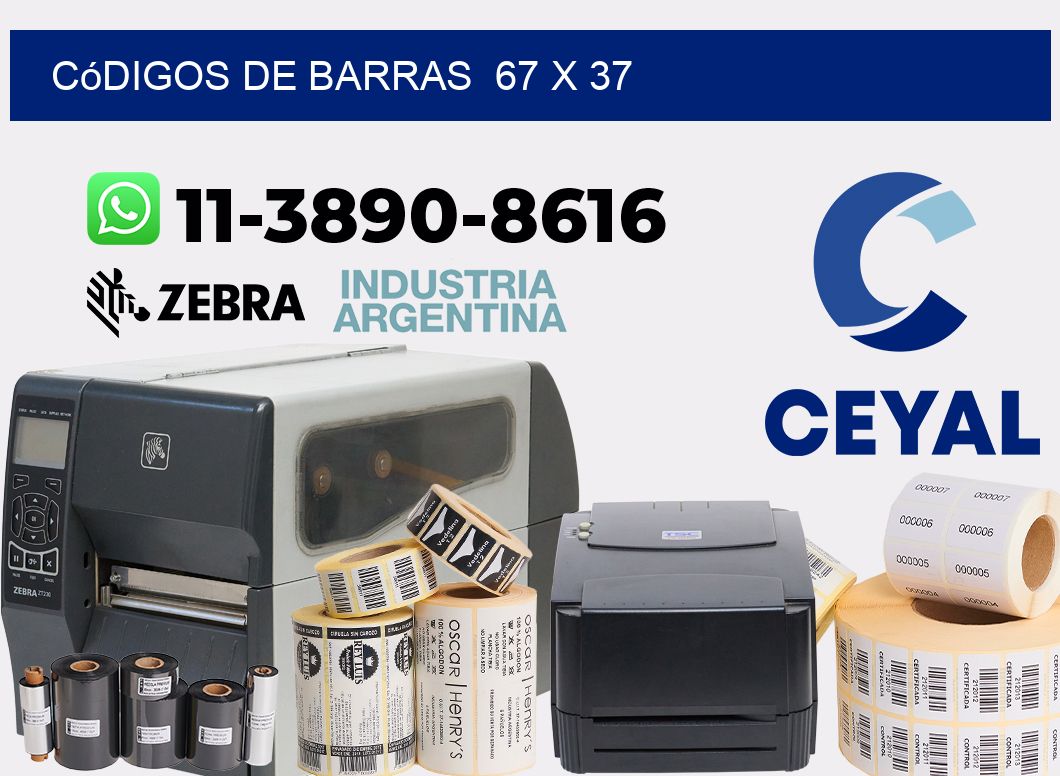 códigos de barras  67 x 37