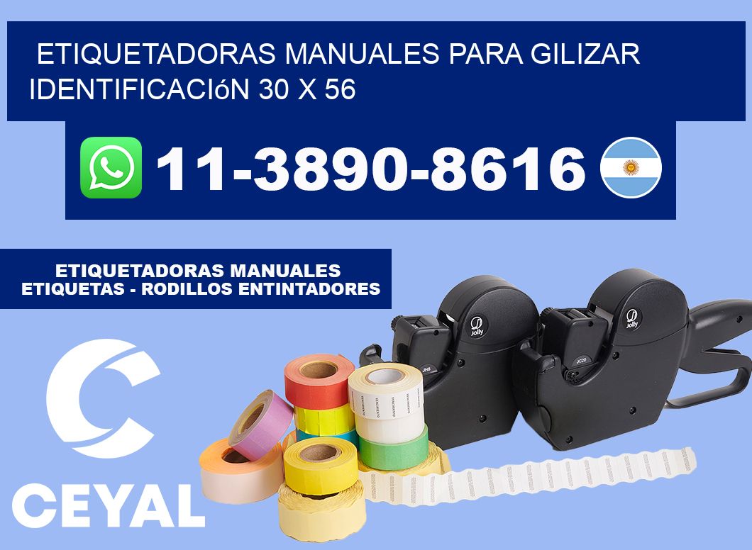 etiquetadoras manuales para gilizar identificación 30 x 56