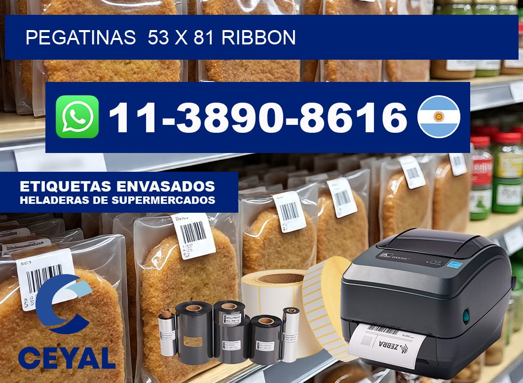 pegatinas  53 x 81 ribbon