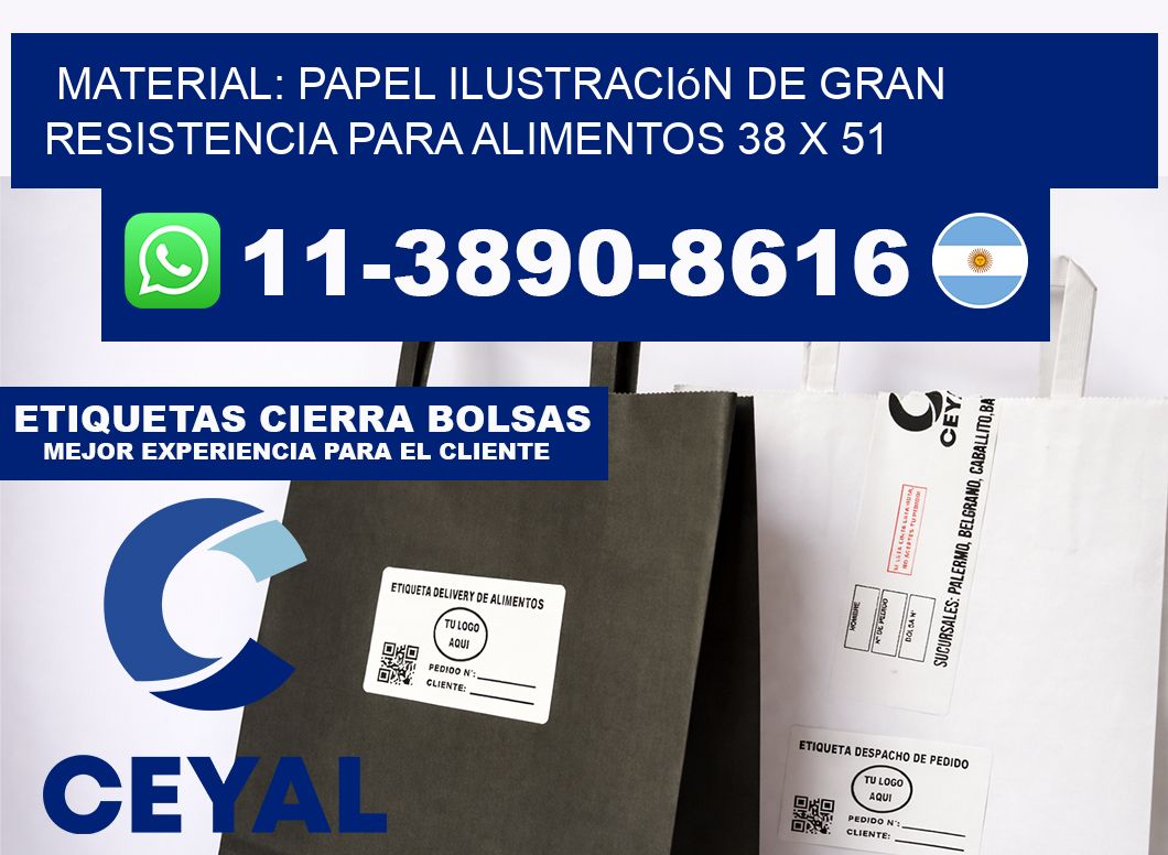 Material: papel ilustración de gran resistencia para alimentos 38 x 51