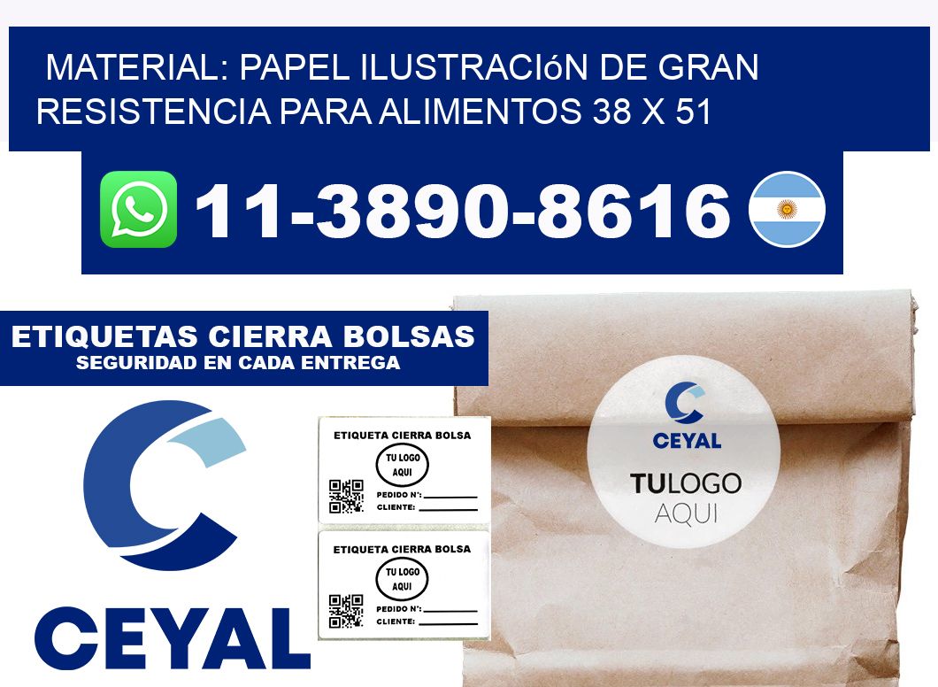 Material: papel ilustración de gran resistencia para alimentos 38 x 51