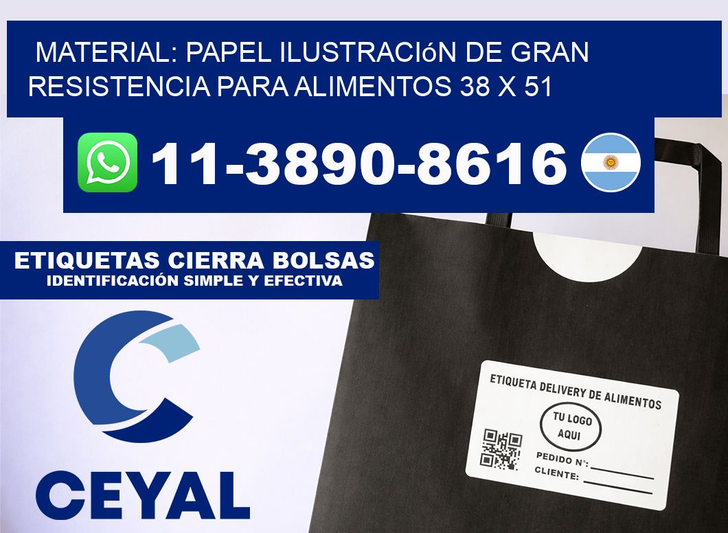 Material: papel ilustración de gran resistencia para alimentos 38 x 51