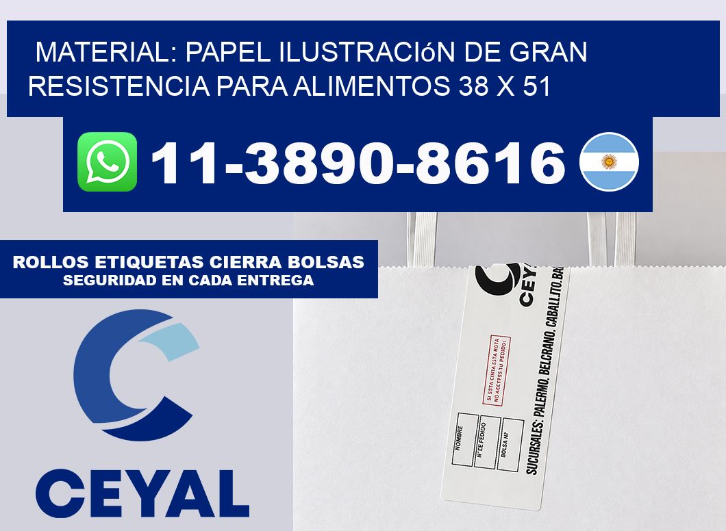 Material: papel ilustración de gran resistencia para alimentos 38 x 51