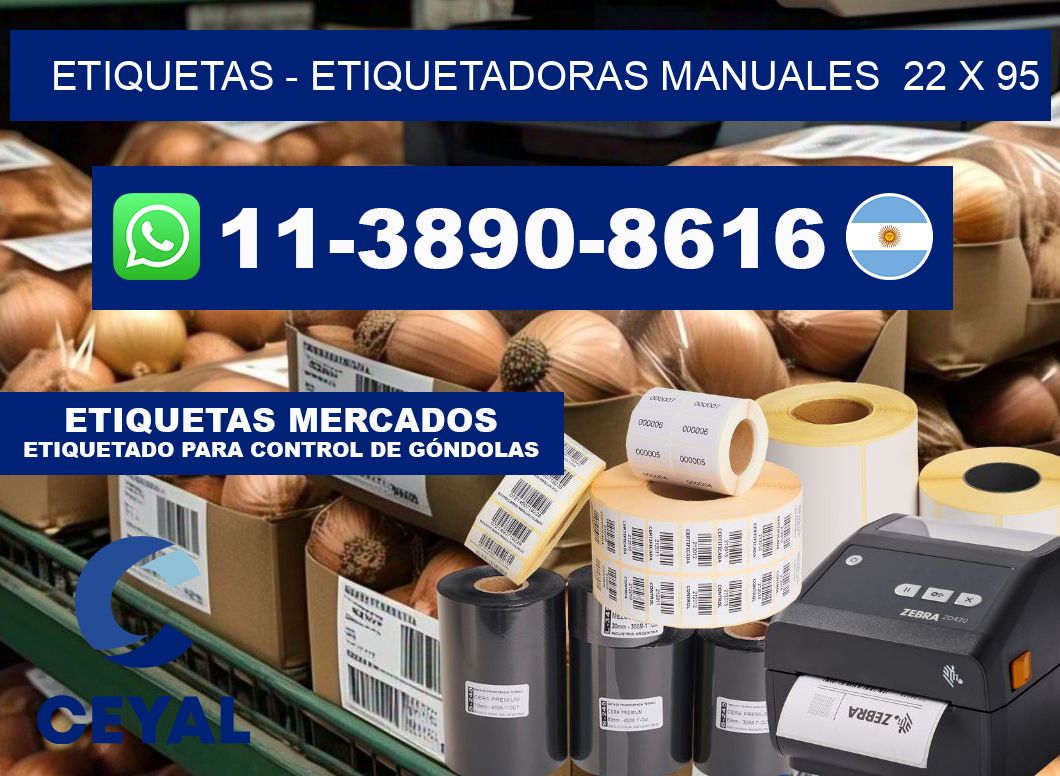 etiquetas - Etiquetadoras Manuales 22 x 95