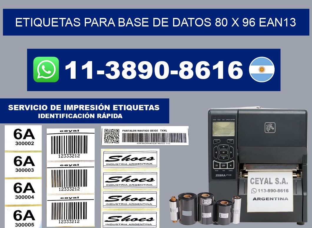 etiquetas para base de datos 80 x 96 ean13