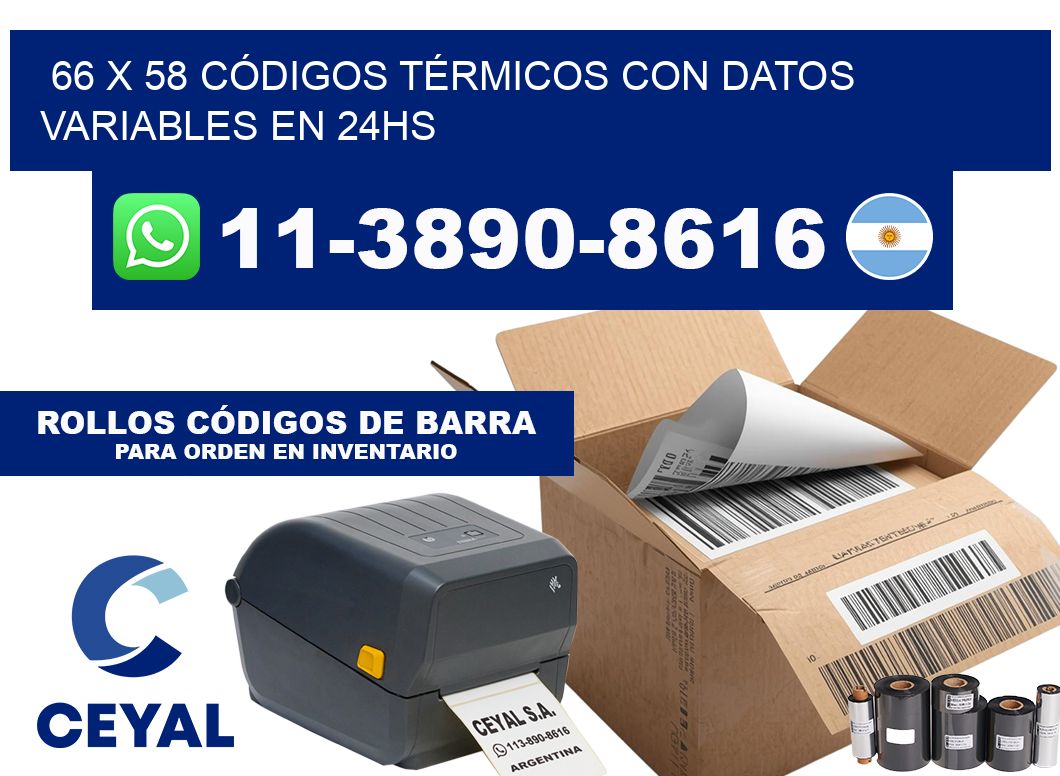 66 x 58 CÓDIGOS TÉRMICOS CON DATOS VARIABLES EN 24HS