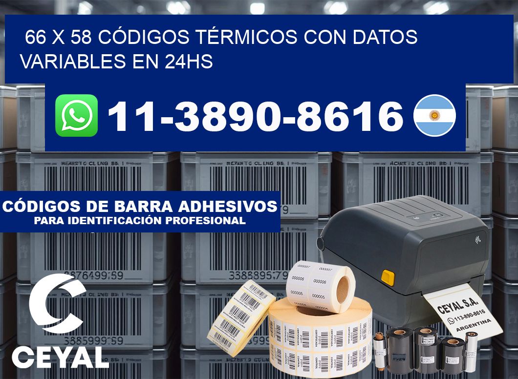 66 x 58 CÓDIGOS TÉRMICOS CON DATOS VARIABLES EN 24HS