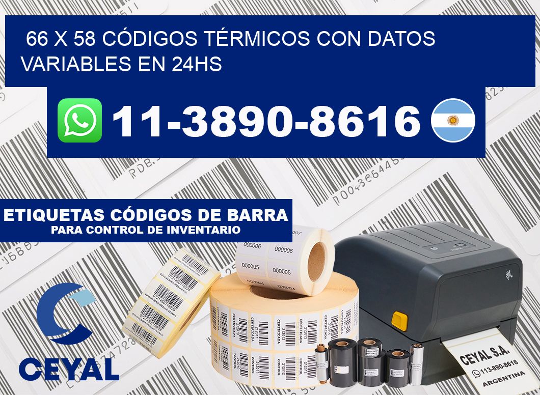 66 x 58 CÓDIGOS TÉRMICOS CON DATOS VARIABLES EN 24HS