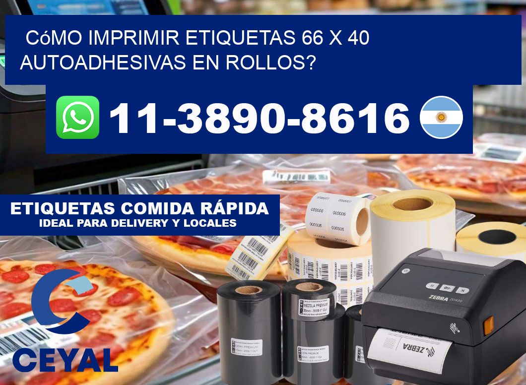 Cómo imprimir etiquetas 66 x 40 autoadhesivas en rollos?