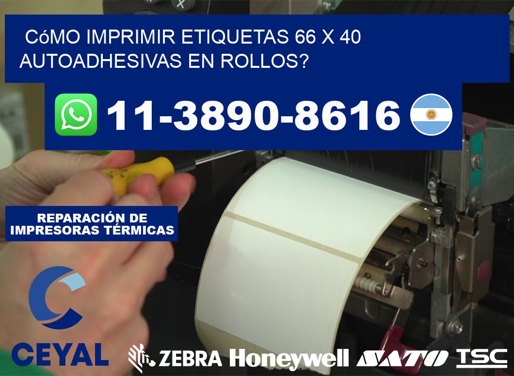 Cómo imprimir etiquetas 66 x 40 autoadhesivas en rollos?