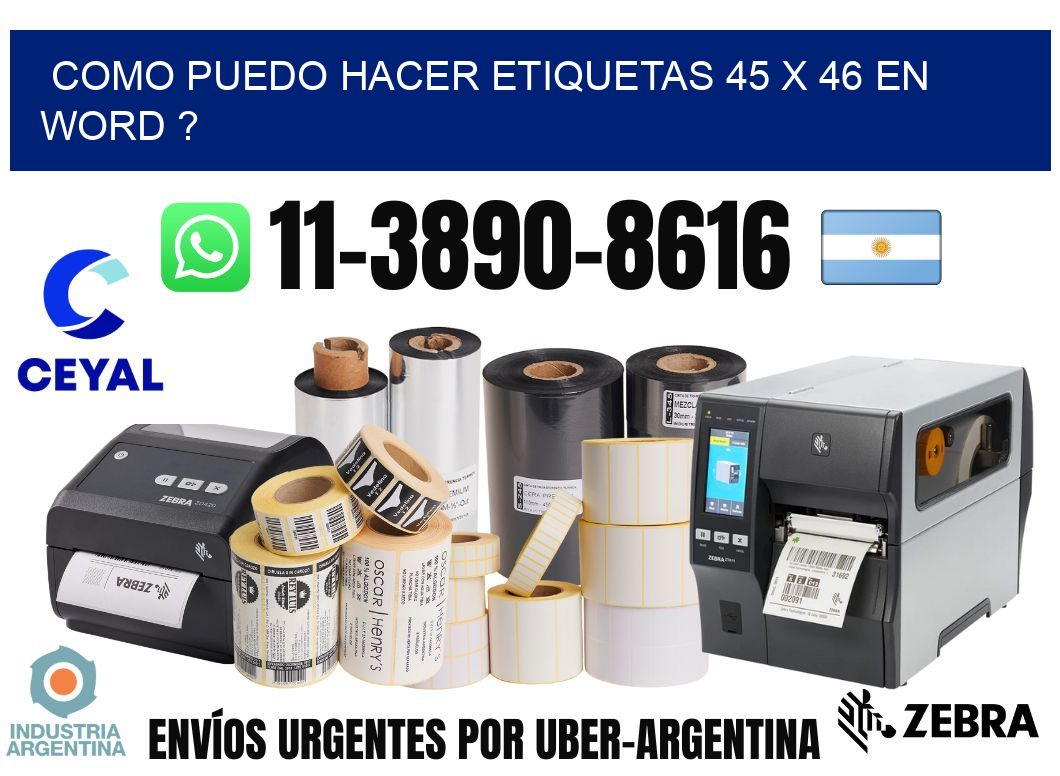 como puedo hacer etiquetas 45 x 46 en word ?