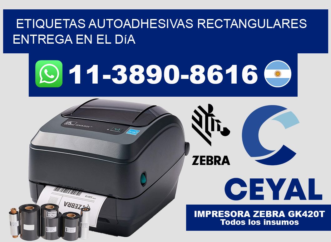 ETIQUETAS AUTOADHESIVAS RECTANGULARES Entrega en el día